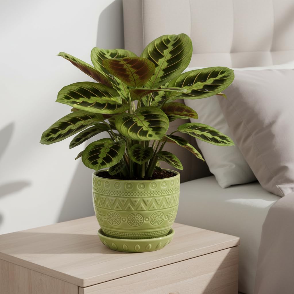 G EPGardening Indoor Plant Pot 5.5 Inch - Ceramic Planter with Drainage Hole and Saucer, Round Boho Plant Pot for Indoor Plants, Plant Lover Gifts, Home Garden Office Decor, Green