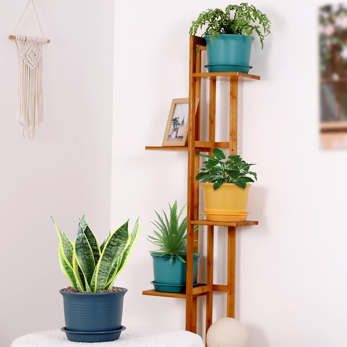 Etvski 7 inch Large Plant Pots, 6 Pack Flower Pots,Planters for Indoor Plants, Planters with Drainage Hole and Tray Saucer