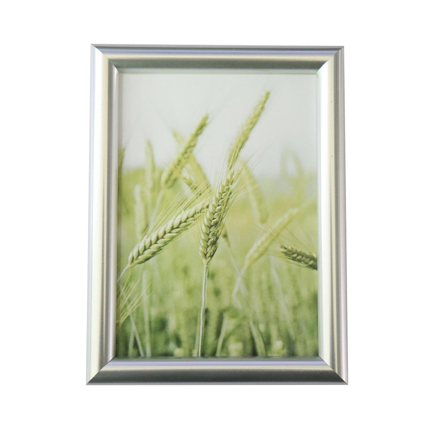 Tabletop Photo Frame - Plastic Composite Design for Home Decor (Silvery, 4X6)