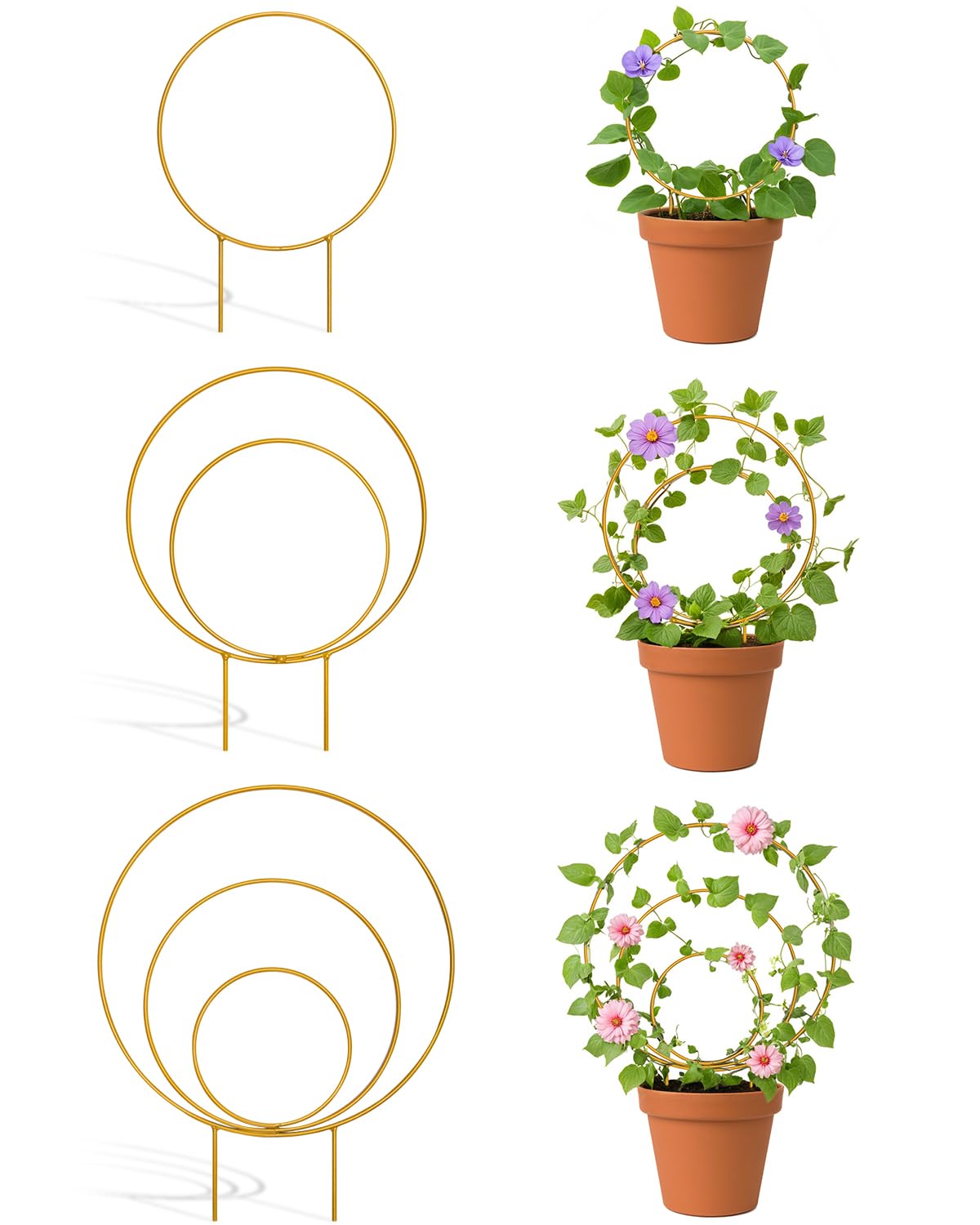 3 Pack Premium Round Plant Trellis Indoor, Small Metal Plant Support Stake for Climbing Plants, Different Sizes Gold Garden Trellis for Ivy and Flowers Outdoor