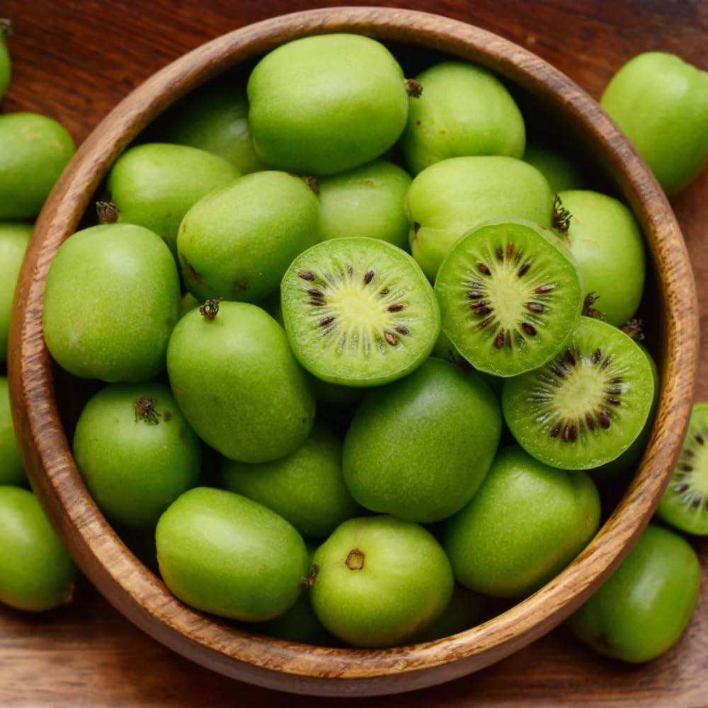 Kiwi Plant Live, Hardy Kiwi Berries Plant, Well Rooted Starter, 5-8" Tall, Kiwi Tree Live Plant, Kiwi Vine Live Plant