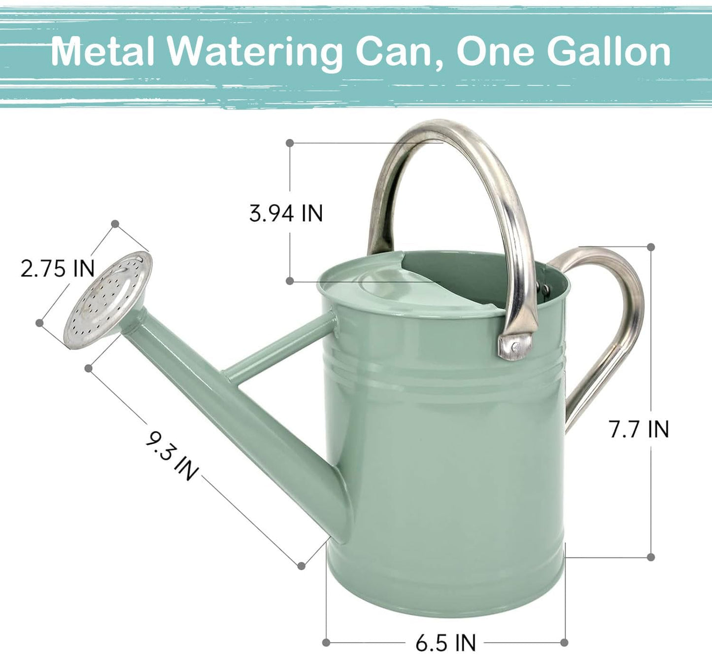 Metal Watering Can 1 Gallon with Removable Spout, Ideal Plant Watering Can for Indoor and Outdoor Plants (One Gallon Creamgreen)