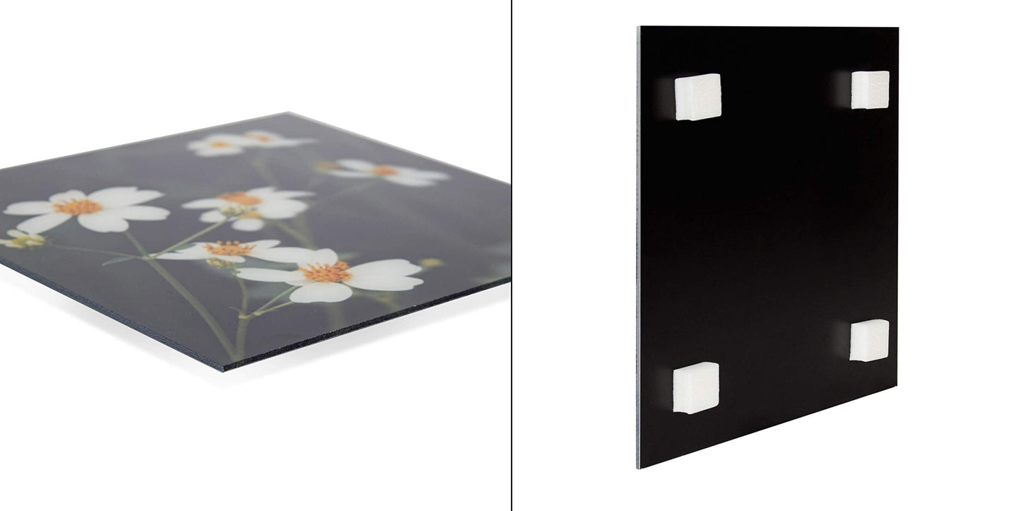 Kate and Laurel Self Stick Floating Acrylic Art, Set of 6, 10x10, Elevated Retro Wall Decor