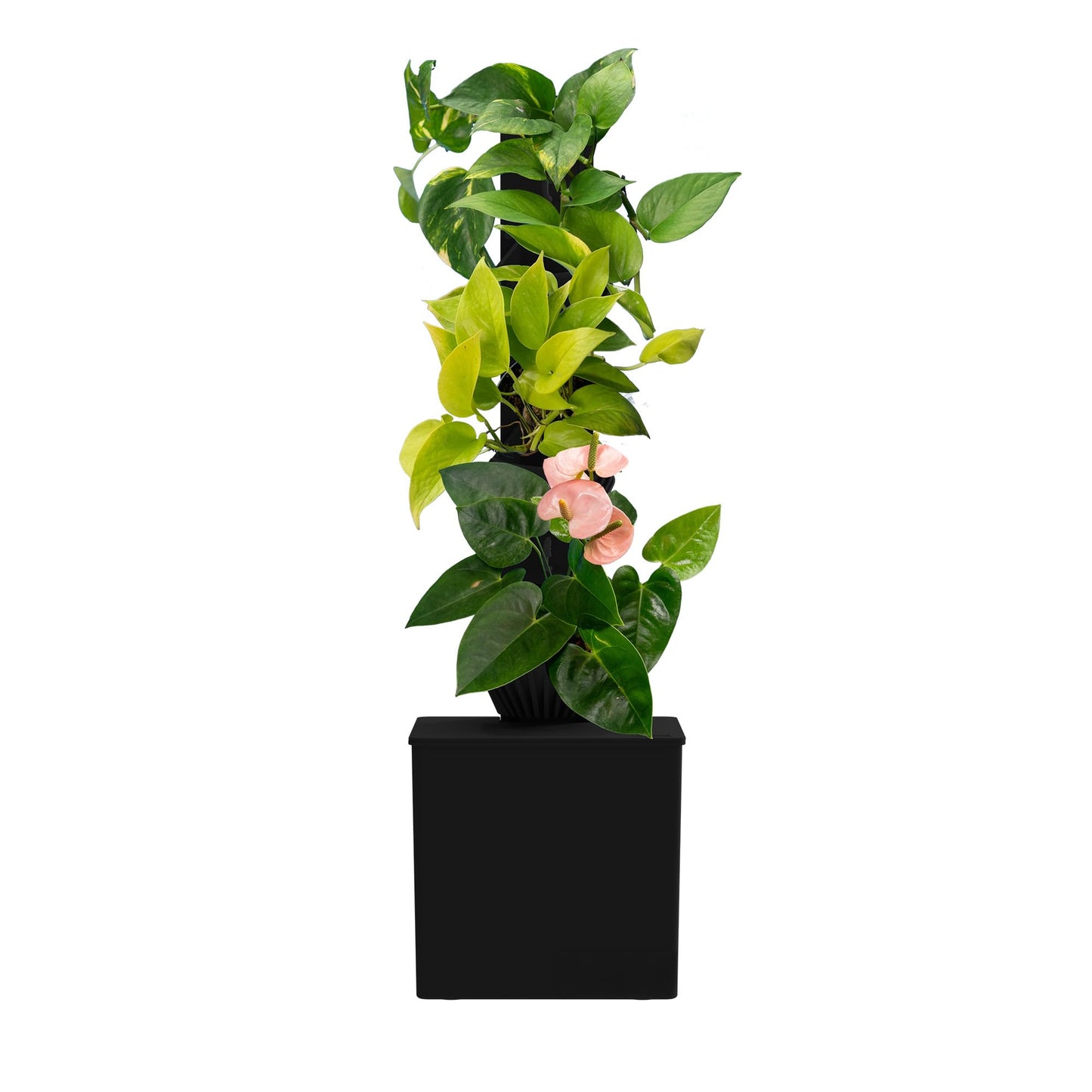 Tevatower Mini Smart Self-Watering Indoor Garden System - 3-Tier 4-Inch Planter Pot for Herbs, Flowers and Indoor Plants, Compact Smart Planter for Home Kitchen Office - Midnight Black