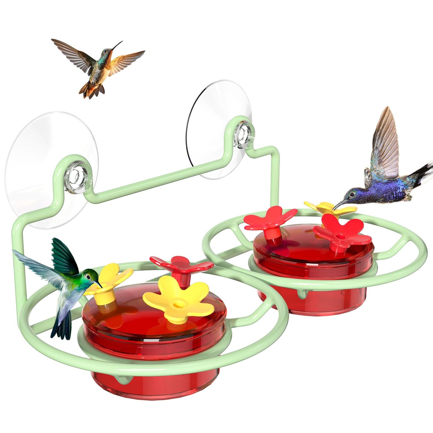 Dreamdrawer Window Hummingbird Feeder, Small Hummingbird Feeder for Outdoors with Strong Suction Cup - Metal Base & 6 Feeding Ports, Easy to Clean and Refill