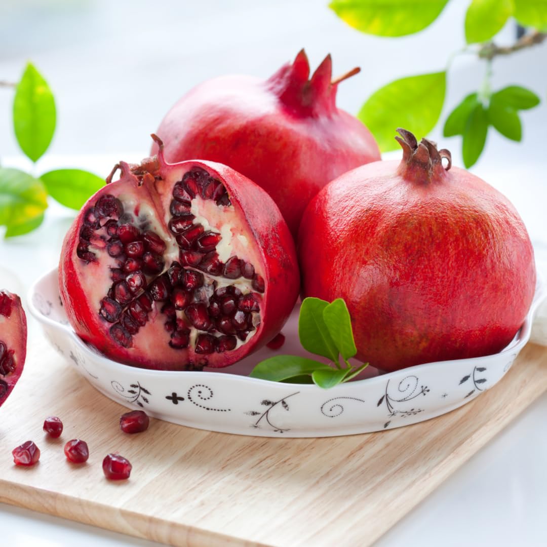 1 Year Old Pomegranate Tree Live Plant Seedlings in 4" Pot for Outdoor Growing, Cold Hardy, Zones 5-9