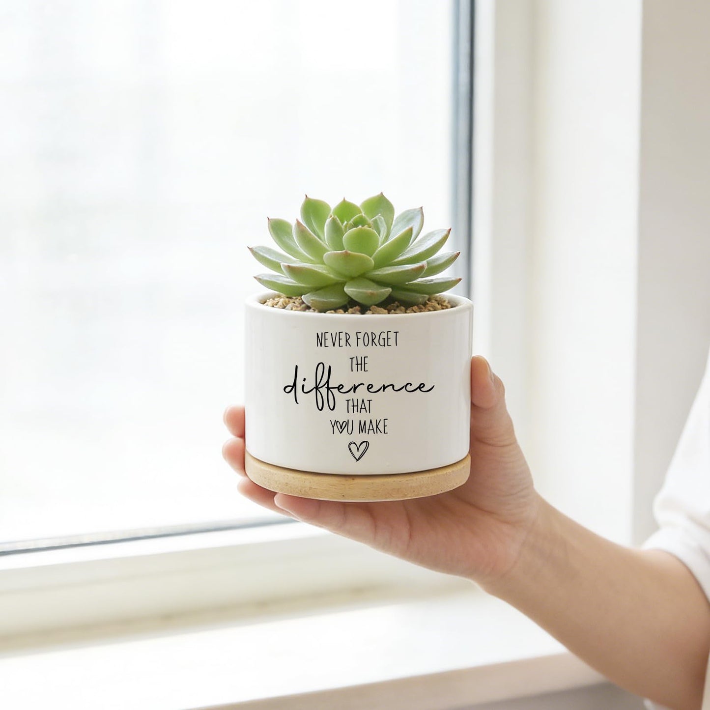 DOFAFALA Funny Planter Succulent Flower Pot, Flower Cactus Planter Gifts, Appreciation Inspirational Gifts for Plant Lovers Women Men Coworkers Home Office Decor (No Plants)