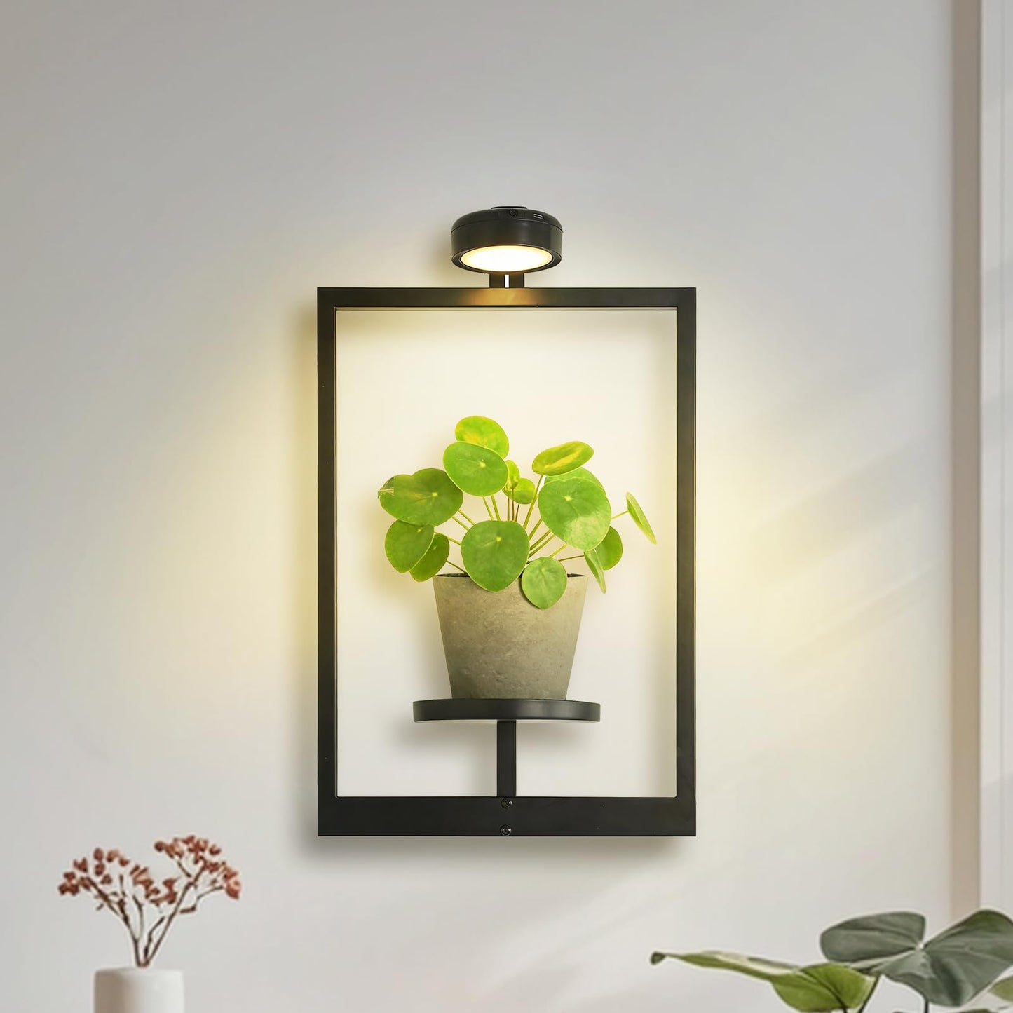 Wall Planters for Indoor Plants，Wall Plant Holder with ‌Remote-Controlled Lights，Hanging Planters for Indoor Plants Window Plant Shelves 3 Pack Plant Hanger for Living Room Entryway（Bulbs Included）