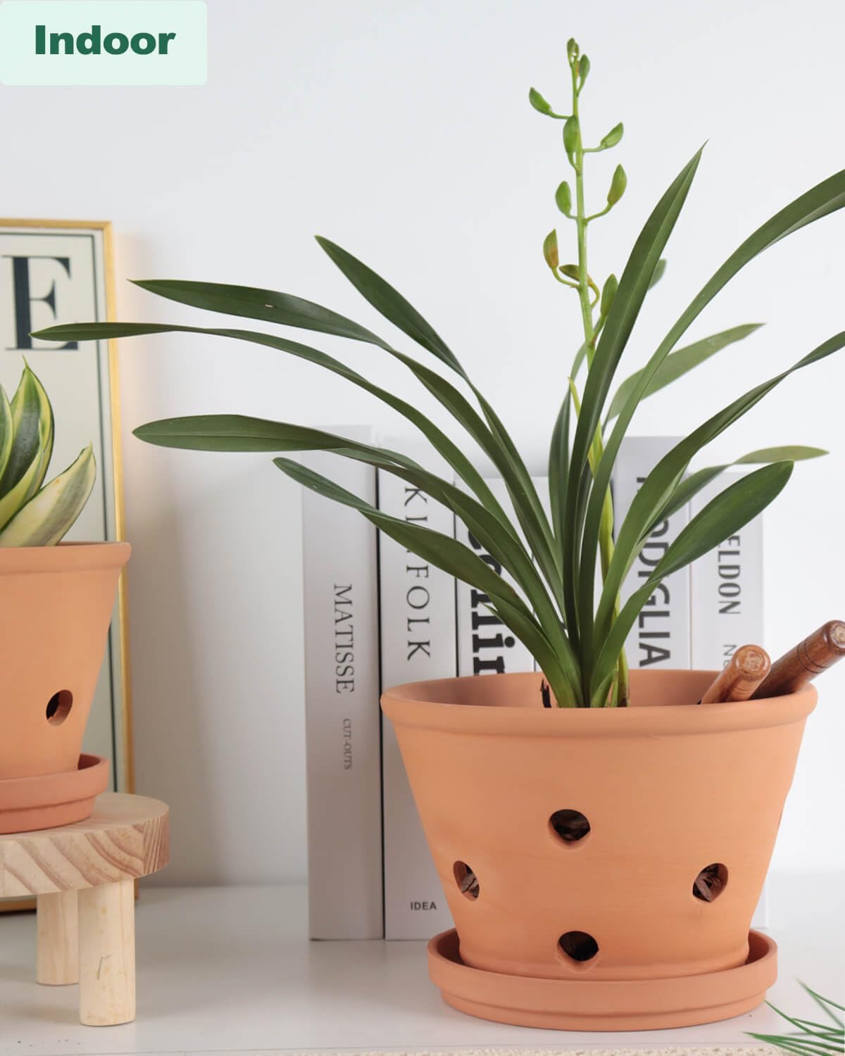 vensovo Terracotta Orchid Pots with Holes and Saucers - Clay Orchid Planter Pots for Repotting, Plant Flower Pots for Orchid Indoor and Outdoor Promotes Air Circulation