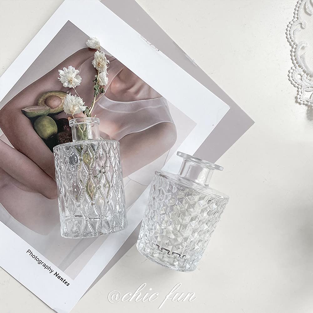 Mini Clear Glass Vase,Small Flower Bud Vase Hydroponics Planter Decorative for Flower,Table,Party,Home,Centerpieces(Clear 6)