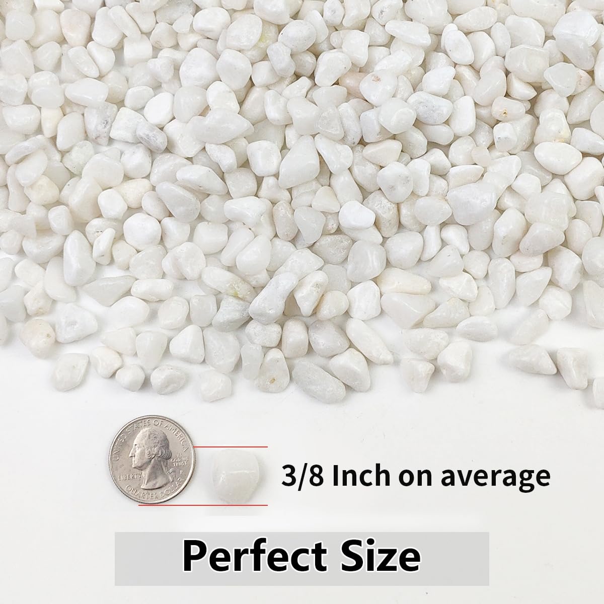 YISZM 10LB Succulent and Cactus Gravel Pebbles, 3/8 Inch Natural Decorative Polished Stones, River Rocks for Plants, Vases, Aquariums, Terrarium and Outdoor Gardening, White