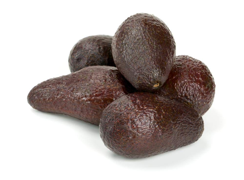 Avocado Tree - Live Tree in a 3 Gallon Pot - Grower's Choice Based on Season and Availability - Fruiting Plant for Patio and Garden