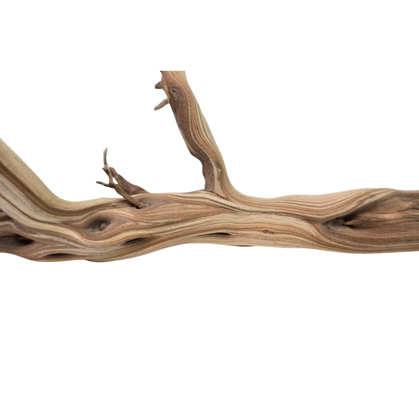 Koyal Wholesale California Driftwood with Natural Brown Branches, 36-Inch Large Driftwood Decor