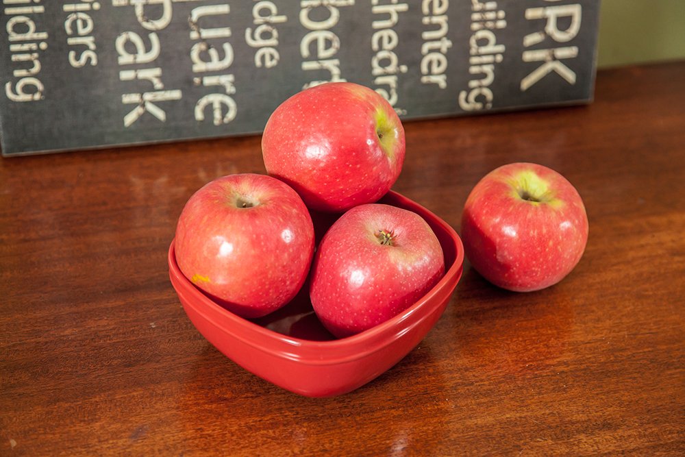 Perfect Plants Anna Apple Tree Live Plant, 4-5', Includes Care Guide