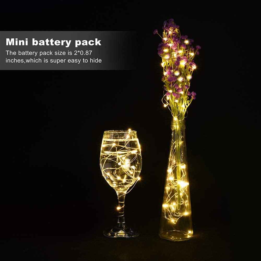 LEDIKON 24 Pack Mini Fairy Lights Battery Operated - Long Lasting CR2032 Battery, 6.6ft 20 LED Warm White String Lights for Wedding Centerpieces, Crafts, Mason Jars Decor