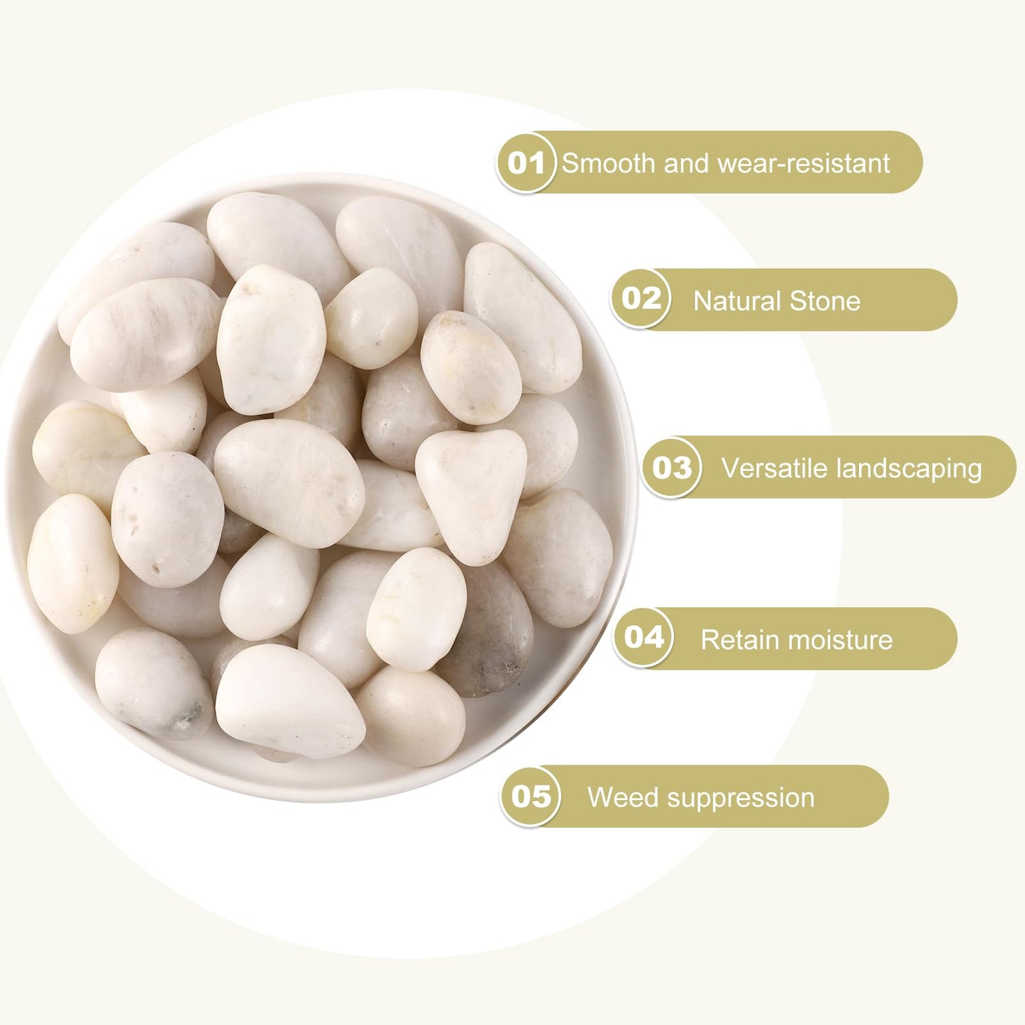 LMtonble 11LB River Pebbles Polished Gravel for Plants Natural White Plant Stones River Rocks 3/4-1 5/8 Inch River Stones for Landscaping Small Pebbles for Crafts