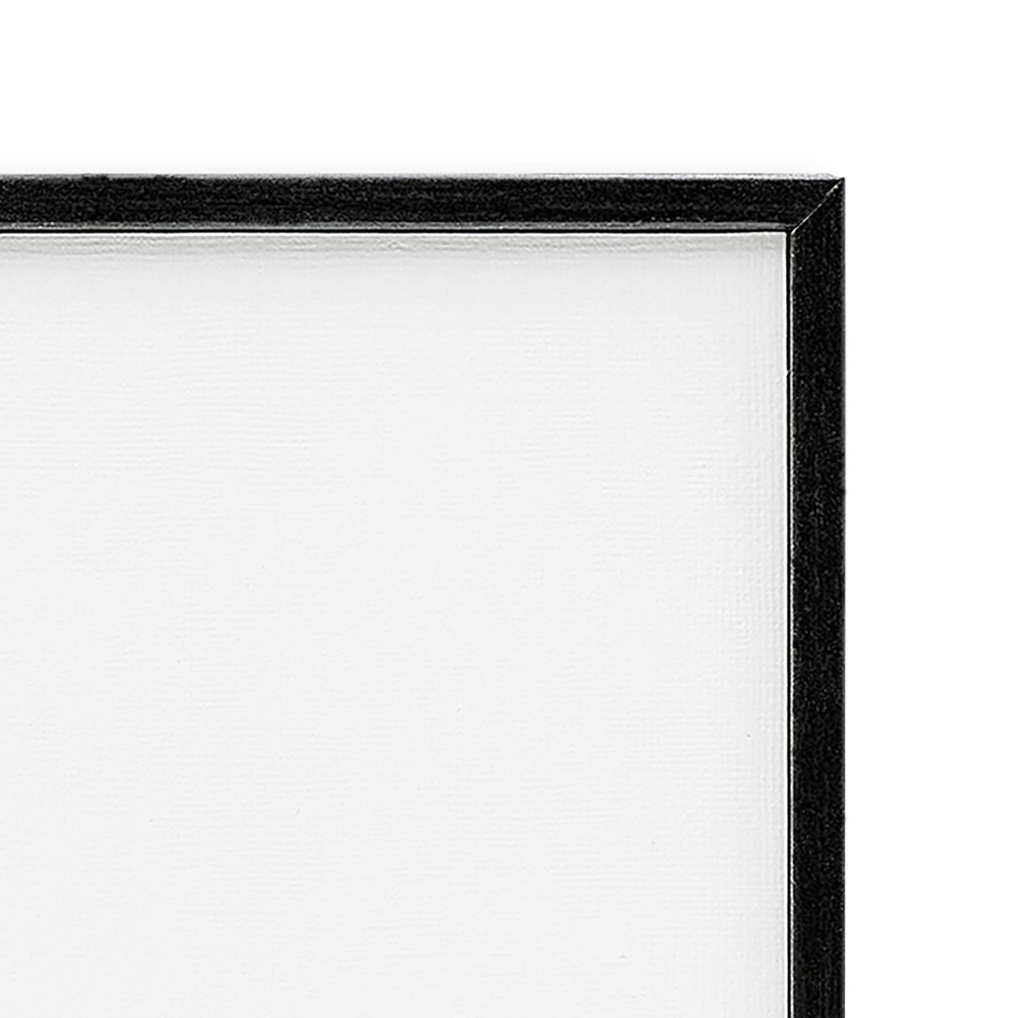 Stupell Industries 'Scientific Botanical Plant', Framed Giclee Art, Black, 11 x 14 Inches, Easy to Hang and Sturdy, Made in USA, by Unknown Artist