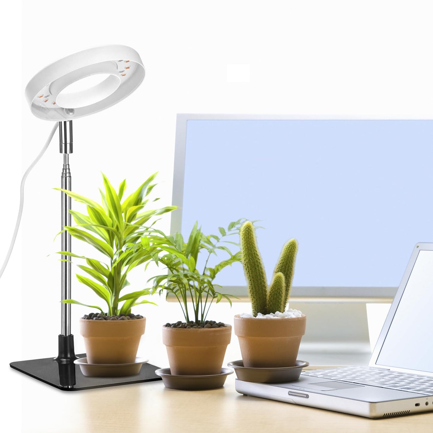 QWORK Grow Lights for Indoor Plants, 3 Pack Full Spectrum LED Desk Grow Lamp, 7-25 in Adjustable Height, Auto Timer 2/4/8H, 4 Dimmable Levels, USB Powered