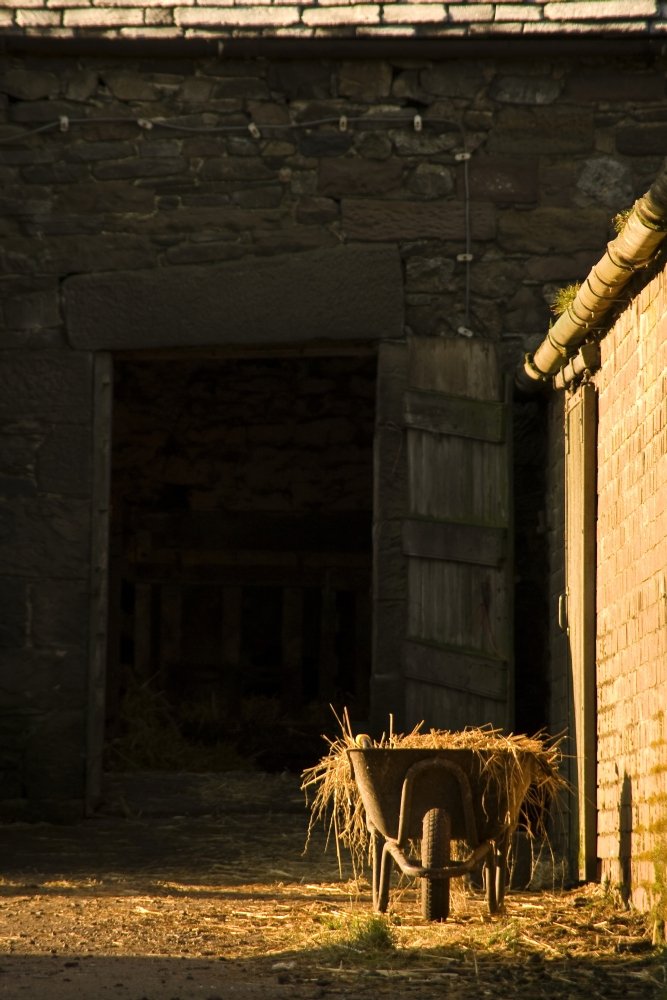 Wheelbarrow Beside A Barn Poster Print (22 x 34)