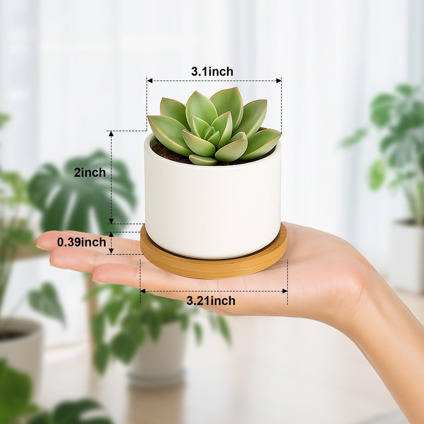 ZOUTOG Succulent Pots 3.1 Inch,6 Pack Succulent Planters,Small Pots for Plants with Drainage and Tray,White Ceramic Flower Planters for Indoor Plants,Home,Office,Desk