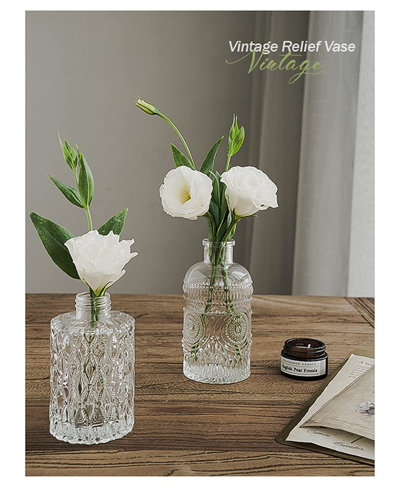 Mini Clear Glass Vase,Small Flower Bud Vase Hydroponics Planter Decorative for Flower,Table,Party,Home,Centerpieces(Clear 6)