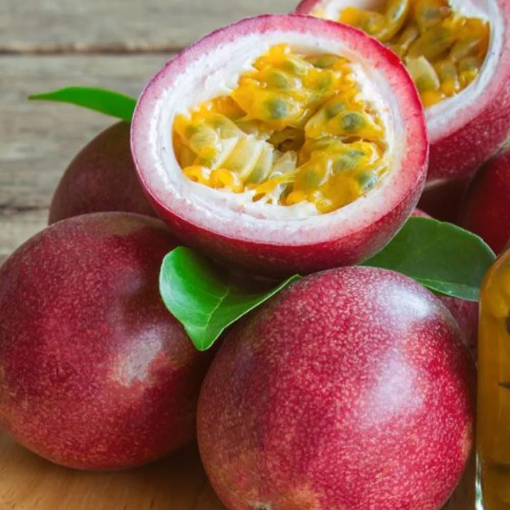 Red Passion Fruit Plant Live, Tropical Fruit Vine for Planting, 5-10" Tall, Sweet Edible Fruits, Passionfruit Seedling