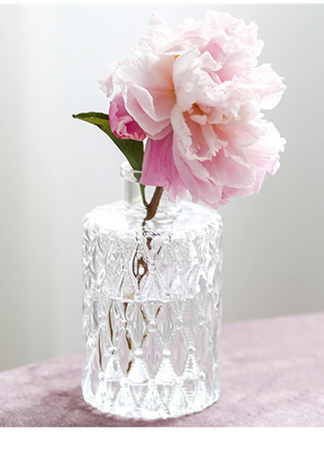 Mini Clear Glass Vase,Small Flower Bud Vase Hydroponics Planter Decorative for Flower,Table,Party,Home,Centerpieces(Clear 6)