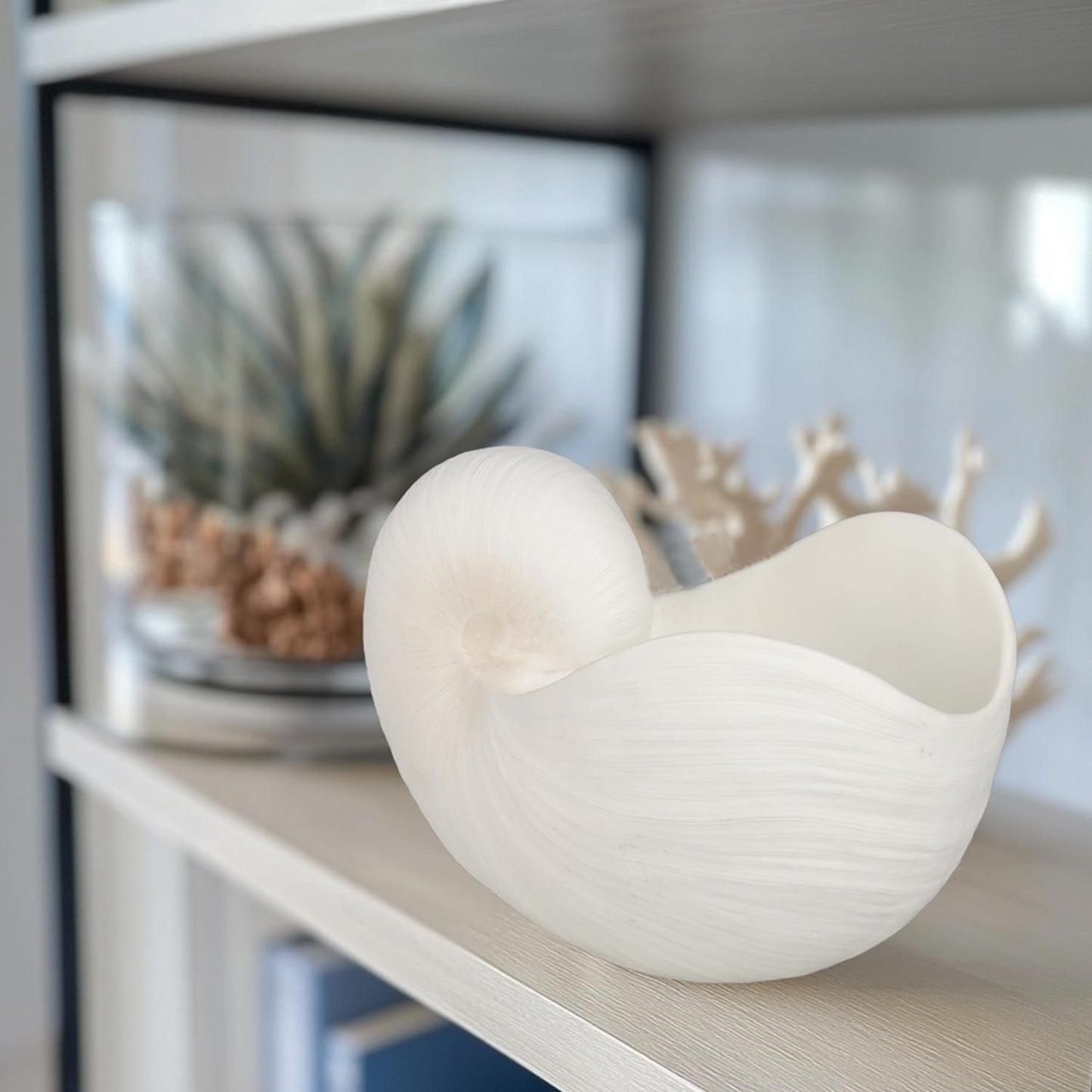Braxio Modern Home Decor Sea Shell - Beach Themed Statue Resin Conch Shape Dish for Keys, Rings, or Succulent Planter - Coastal Decorative Bowls for Bathroom, Living Room, 12.25 x 6.25 x 8.25 Inch