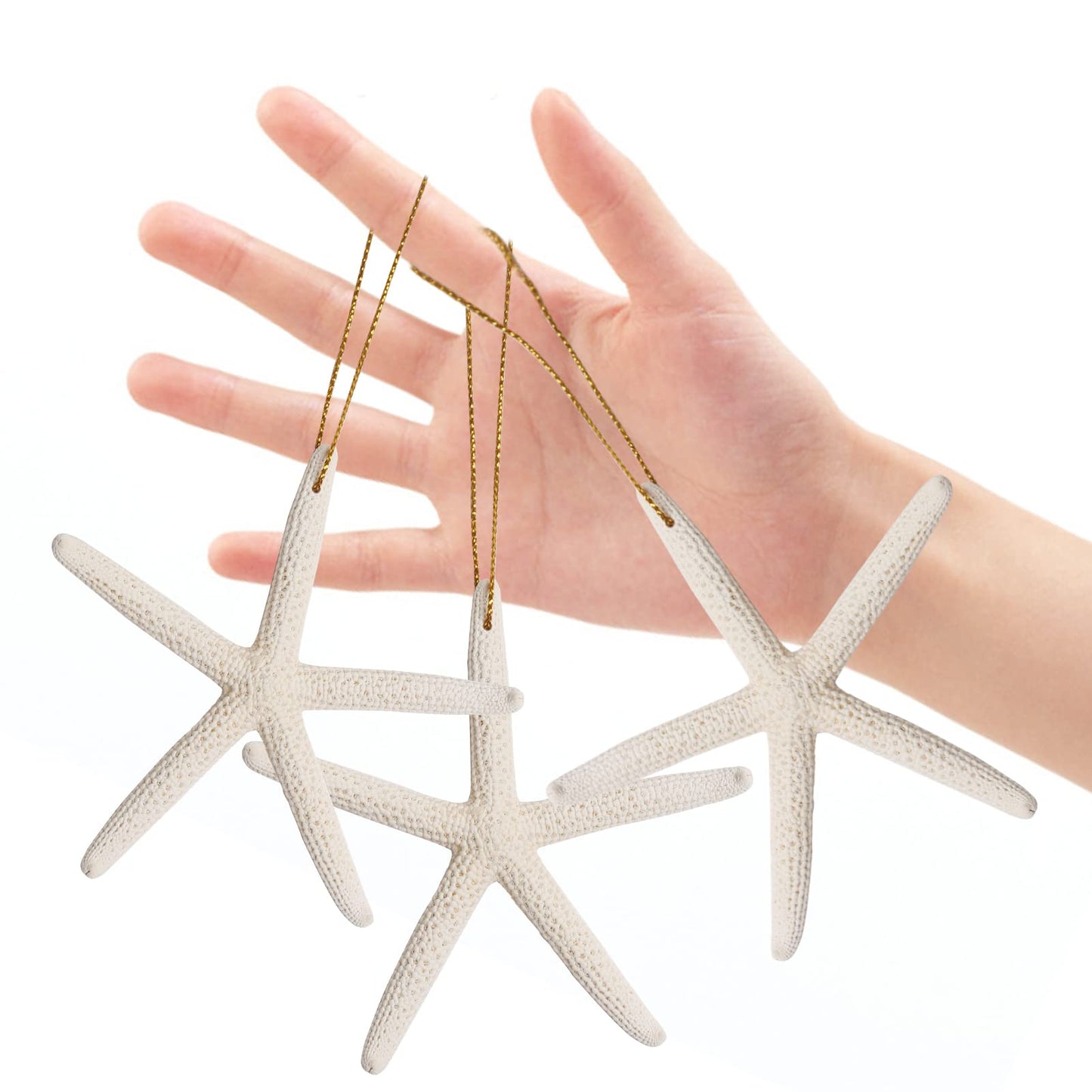 20PCS Christmas Starfish Ornaments Ready to Hang 3"-4'' Natural Starfish Decor with Drilled Holes & Hanging Rope for Christmas Tree Hanging Ornaments, Beach Theme Wedding Home DIY Crafts