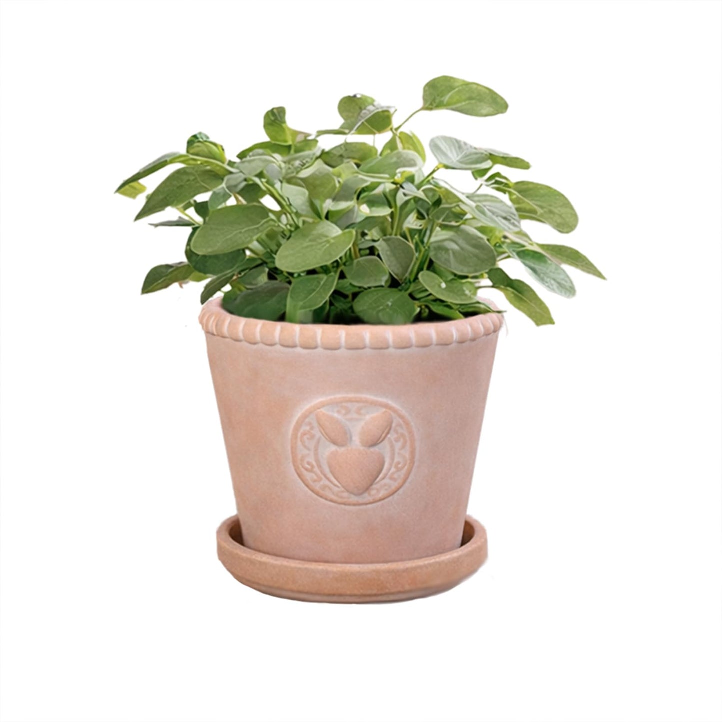 FREEMOON Color-Changing Terracotta Plant Pot with Saucer, Natural Clay Planter with Drainage Hole, Visual Watering Reminder (All-Natural), Retro Rabbit Head Pattern for Indoor/Outdoor Plants, 6 Inch