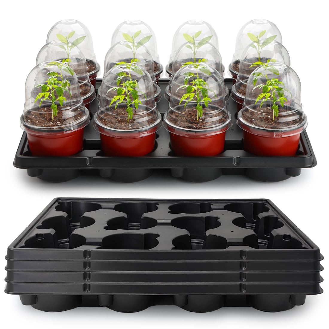 RooTrimmer 4 Inch 60 Pack Nursery Pots with Humidity Domes & 5 Pack 12 Cell Round Seedling Pot Carrying Trays, Sturdy Seeds Starter Pot Germination Set, Small Planter Nursery Propagation 5 Sets