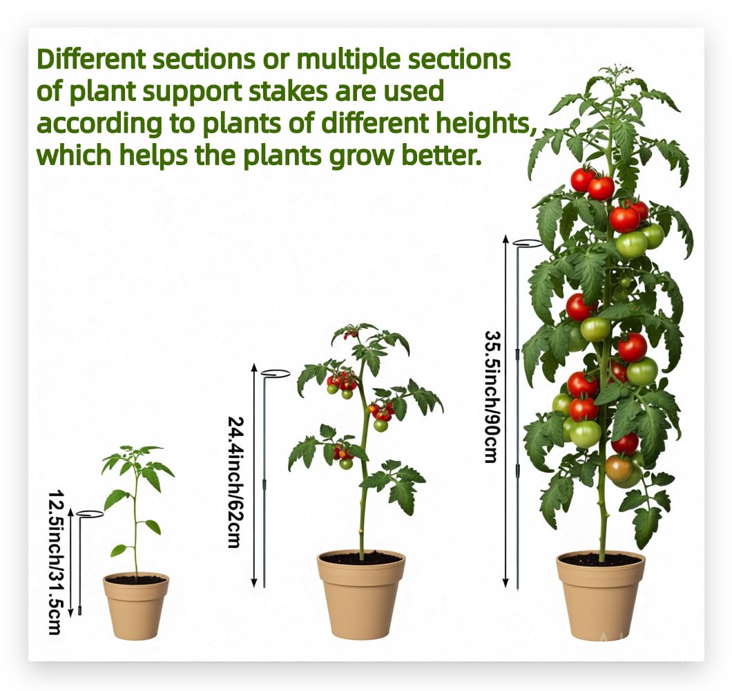 6 Sets Durable Metal Plant Stakes - 12/25/36 Inch Steel Plant Support Garden Stakes Sticks, Indoor Outdoor Plant Poles for Tomato, Orchid, Lily, Peony, Amaryllis, Flowers & Vegetables