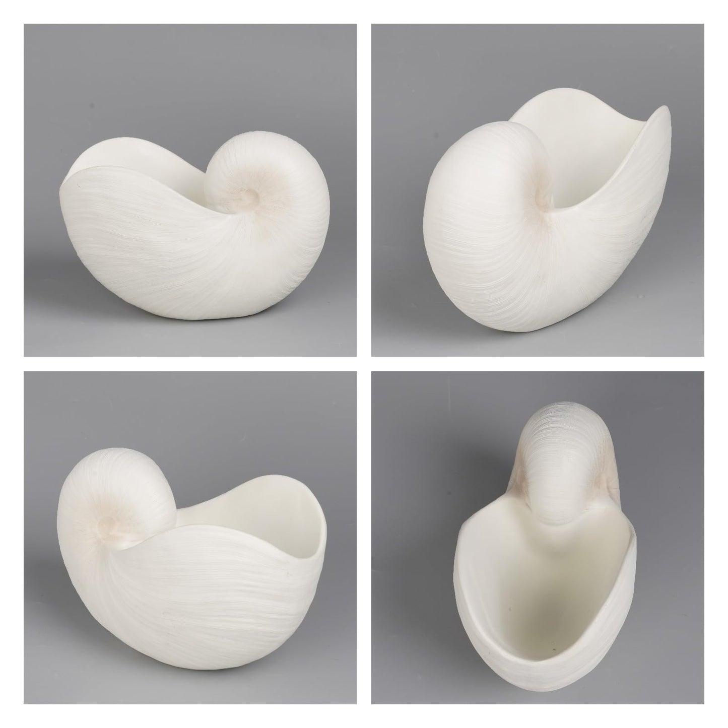 Braxio Modern Home Decor Sea Shell - Beach Themed Statue Resin Conch Shape Dish for Keys, Rings, or Succulent Planter - Coastal Decorative Bowls for Bathroom, Living Room, 12.25 x 6.25 x 8.25 Inch