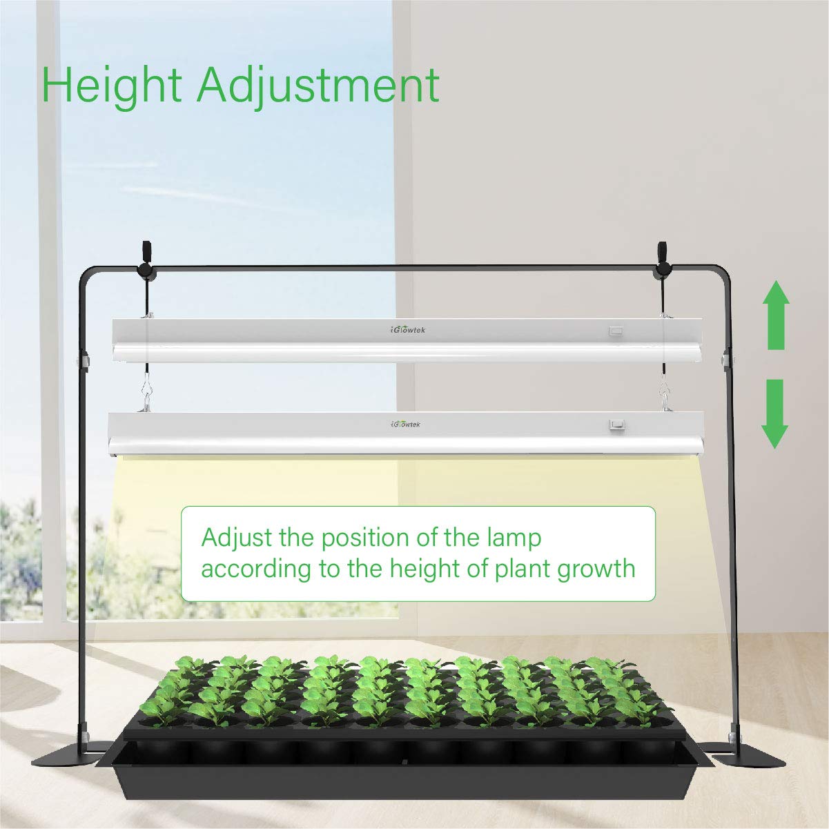 iGrowtek 2ft Grow Light for Seed Starting,LED Grow Lamp for Indoor Plants,Seedling Grow Light with Stand,Seed Starter Light Kit with Natural White Spectrum,Height Adjustable,Iron Frame,Timer Outlet