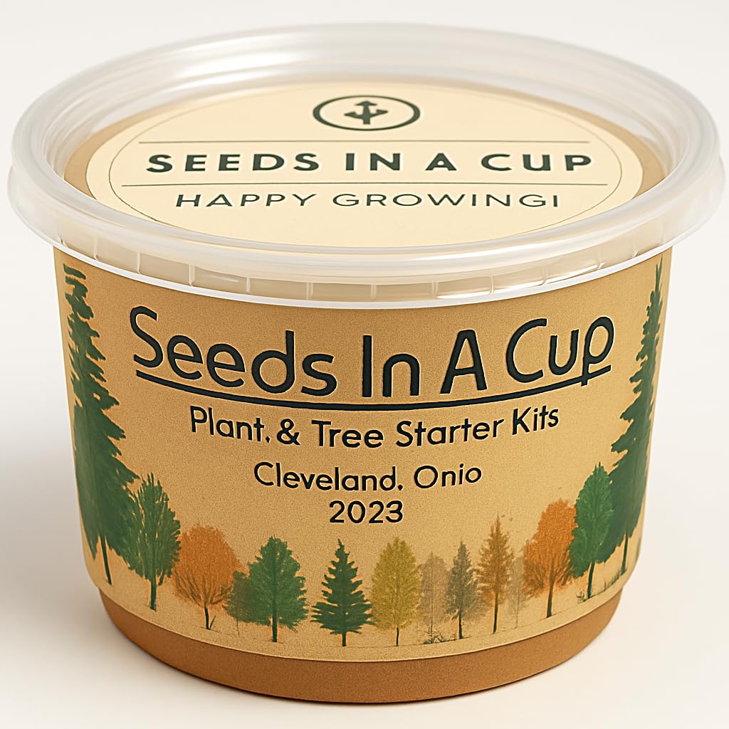 Date Palm | Seeds In A Cup: Date Palm Tree Starter Kit | Easy to use | Educational | Thoughtful Gift | Great Gift Idea | Plant It for The Planet | Grow Your Own Tree |