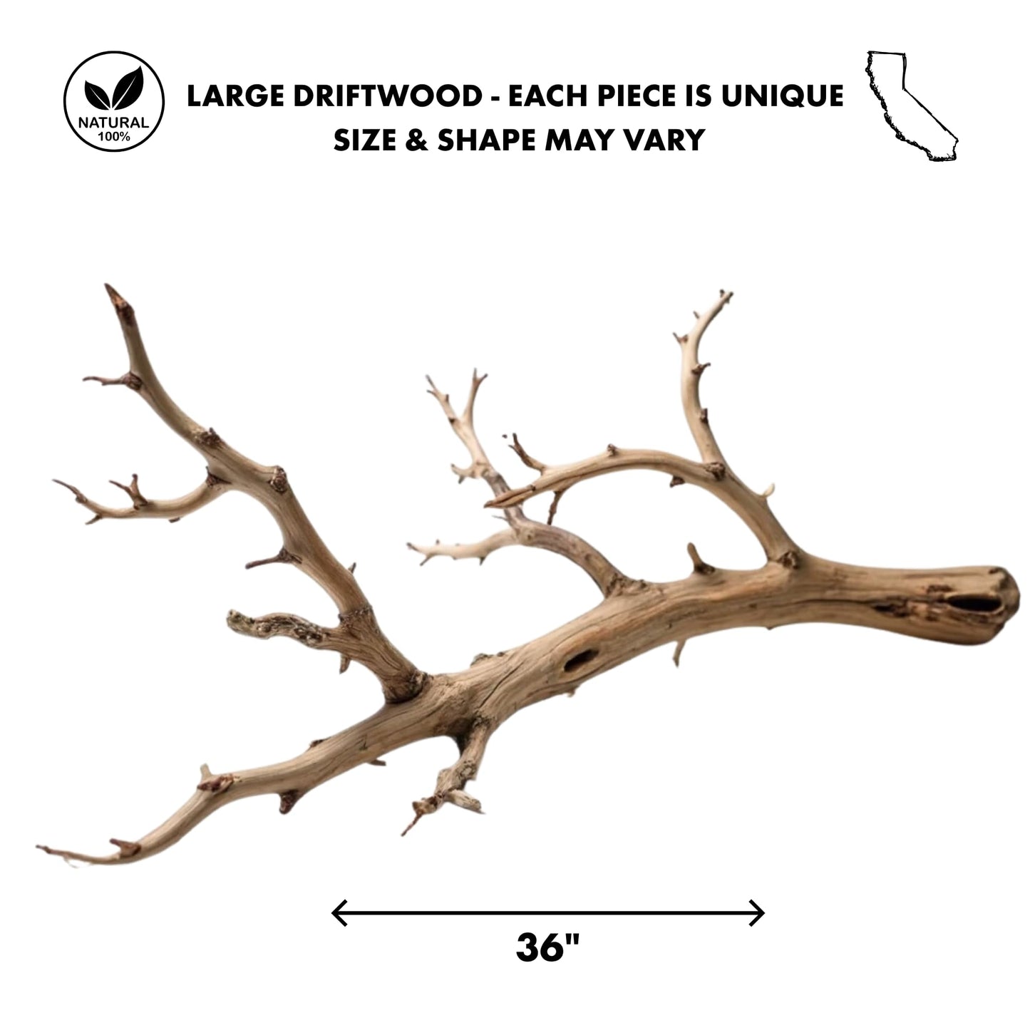 Koyal Wholesale California Driftwood with Natural Brown Branches, 36-Inch Large Driftwood Decor