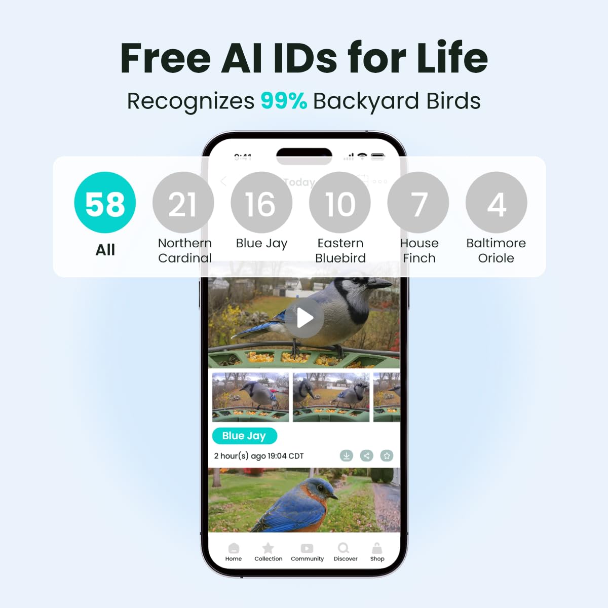 Birdfy 2 Smart Bird Feeder with Camera, AI Identifies 6000+ Bird Species, Dual-Lens 2K+1080P Camera for Live Streaming & Close-Up Photos, Solar-Powered Backyard Birdwatching Gift for Christmas