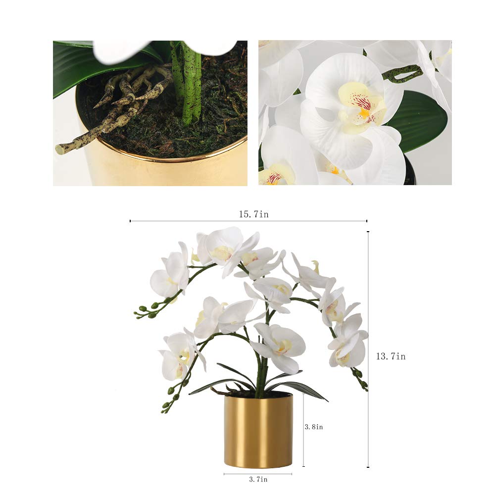 LESING Potted Artificial Orchid Flowers,Real Touch White Fake Artificial Orchid Flower in Gold Vase Arrangement for Table Living Room Decoration (White,Gold Vase)