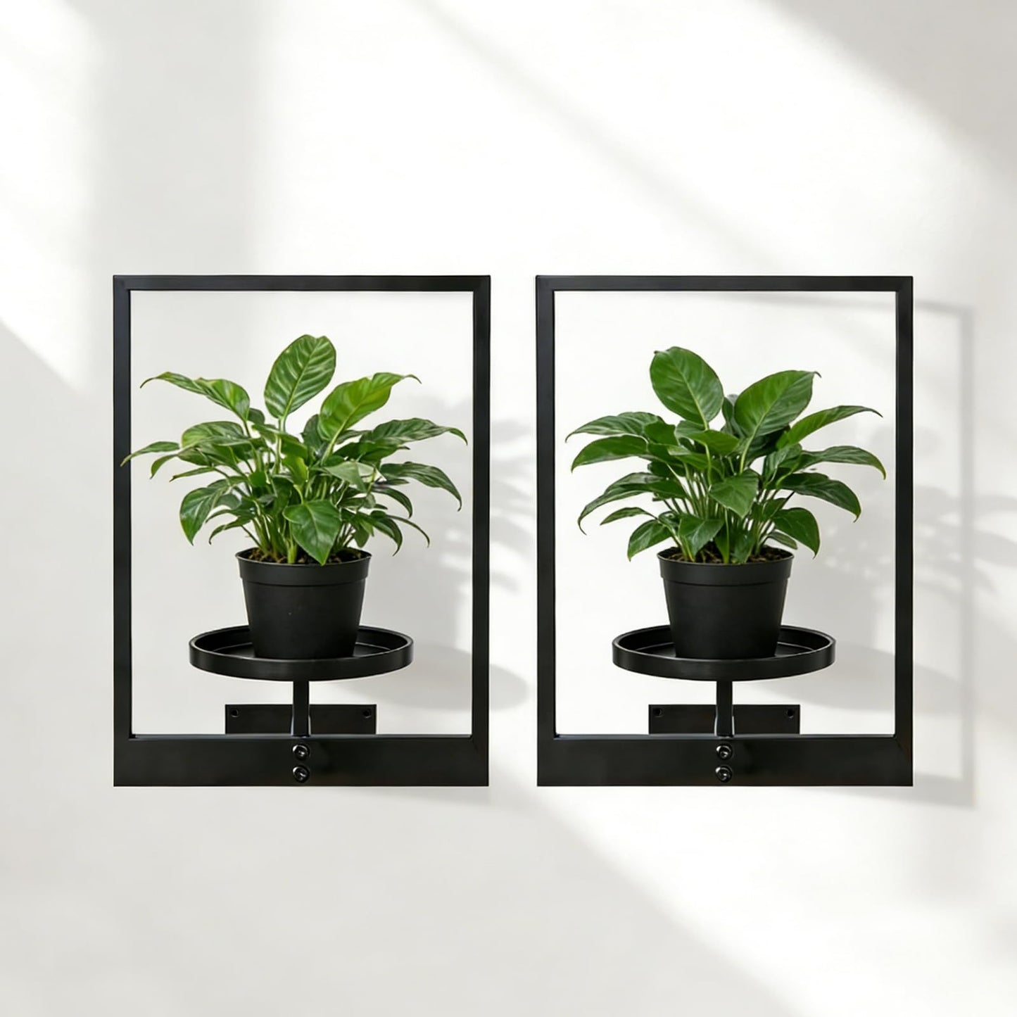 bbteroiu Picture Frame Wall Planters Set of 3, Modern Metal Hanging Shelves for Plants, Rustproof Wall Mount Flower Pot Holder for Indoor Outdoor, Decorative Plant Stand for Living Room Patio, White