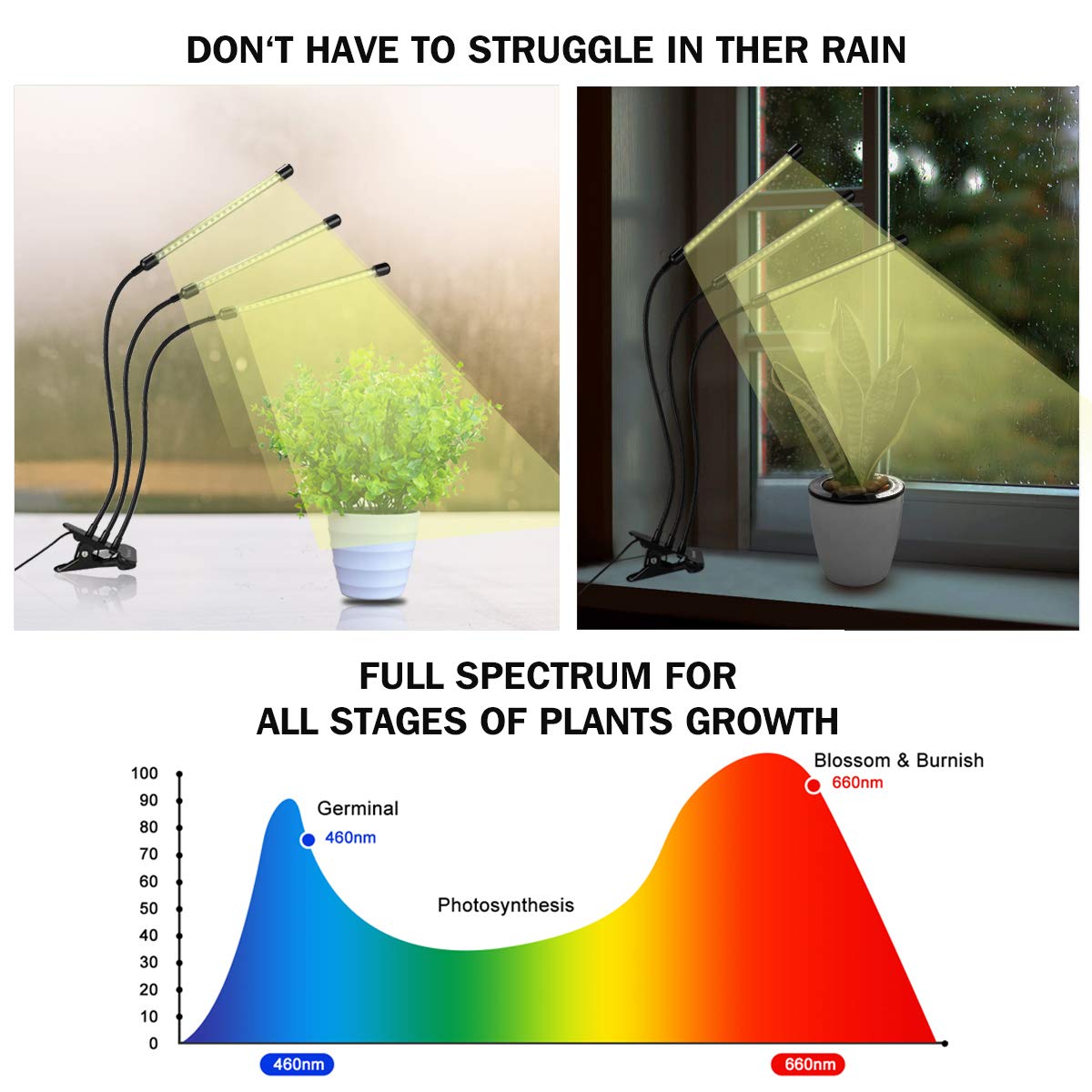 bseah Grow Light Plant Lights for Indoor Plants, Full Spectrum Led Growing Lamp with 3/9/12H Timer, Auto ON & Off, 10 Dimmable Lightness Clip-On Desk
