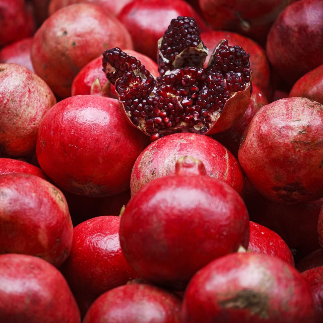 Live Pomegranate Tree Plant, Sweet Edible Pomegranate Fruit, 2-3 Feet Tall, Well-Rooted, Ready for Outdoor Planting