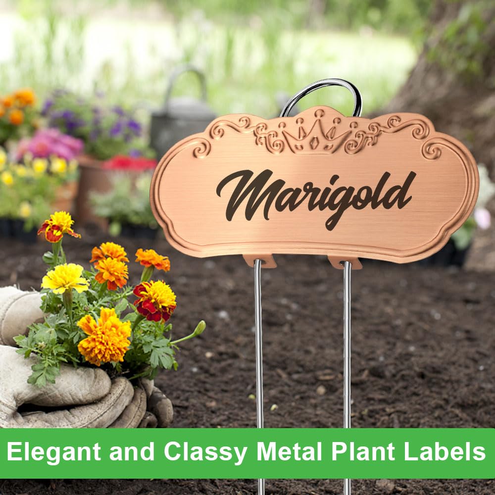 TCYPUHL Metal Plant Labels,Tall Outdoor Garden Markers for Flower, Fruit and Vegetable, 304 Stainless Steel Weatherproof Signs (25 Packs, 4" x 1.9", Gold)