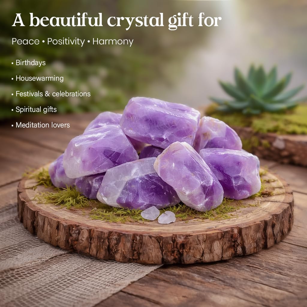 "650+ Carats, 3 Pc Amethyst Rock Rough Stone 2540 mm Raw Crystals Rock Crystals and Healing Stones Rough Gemstones Rock Collection for Beginners Used as Crystal Therapy, Meditation, Reiki"