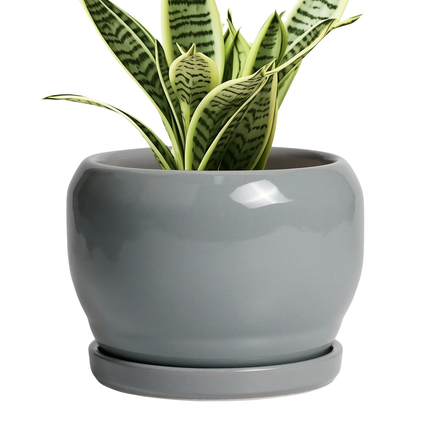 SQOWL 6 Inch Plant Pots - Ceramic Planter with Drainage Hole and Saucer, Round Ceramic Flower Pot Indoor Outdoor, Modern Succulent Planter, Bathroom Decor, Gifts for Plant Lovers, Grey
