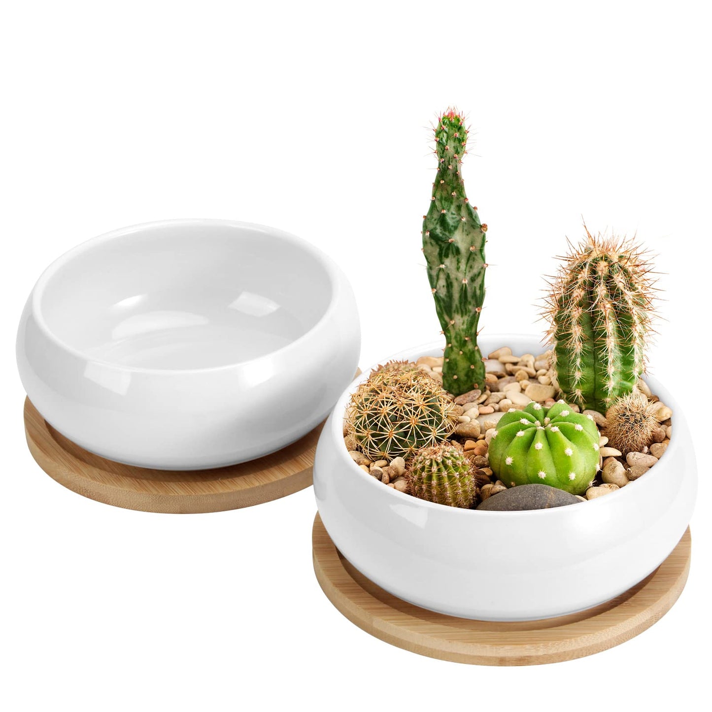 ZOUTOG 2 Pack Succulent Pots, 6 inch Ceramic Planters for Indoor Plants with Bamboo Tray, Pots with Drainage, Seeds＆ Plants Not Included