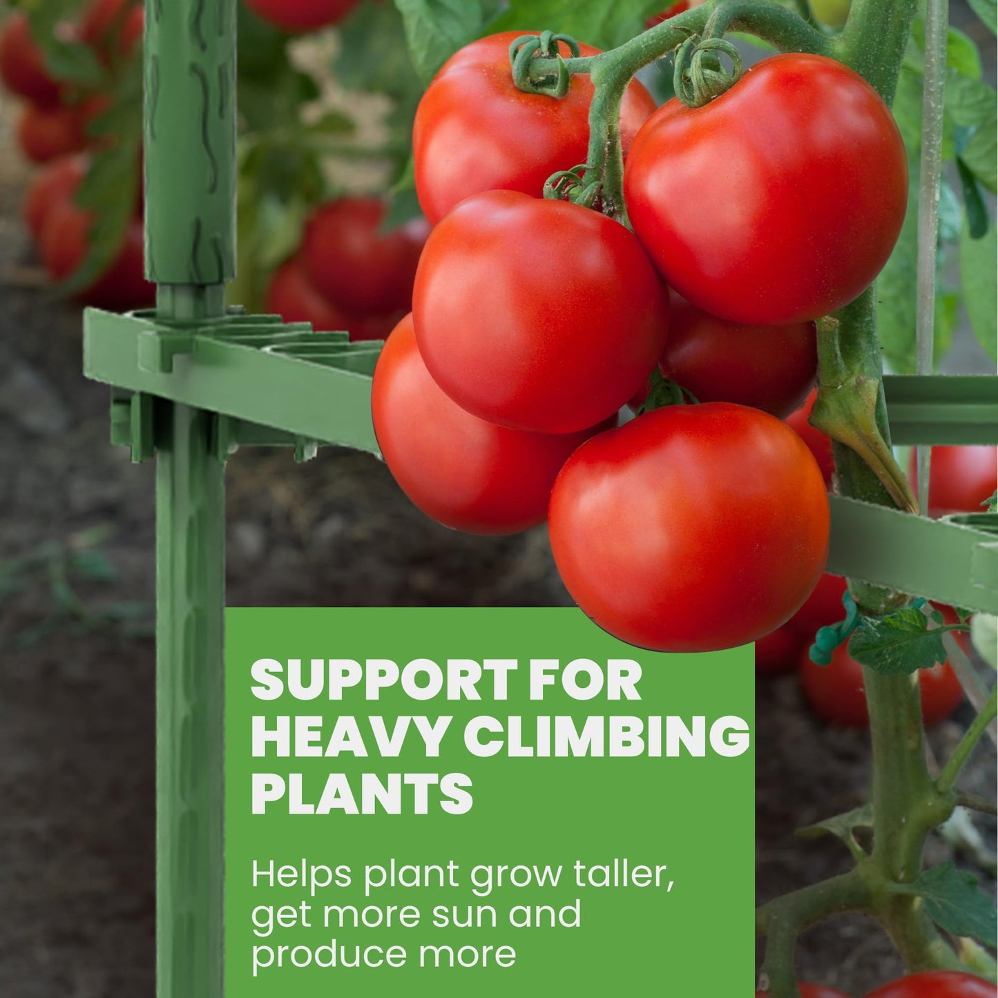 K-Brands Tomato Cage - Tomato Plant Stakes Support Cages, Trellis for Garden & Pots (Tall Upto 68 Inches)
