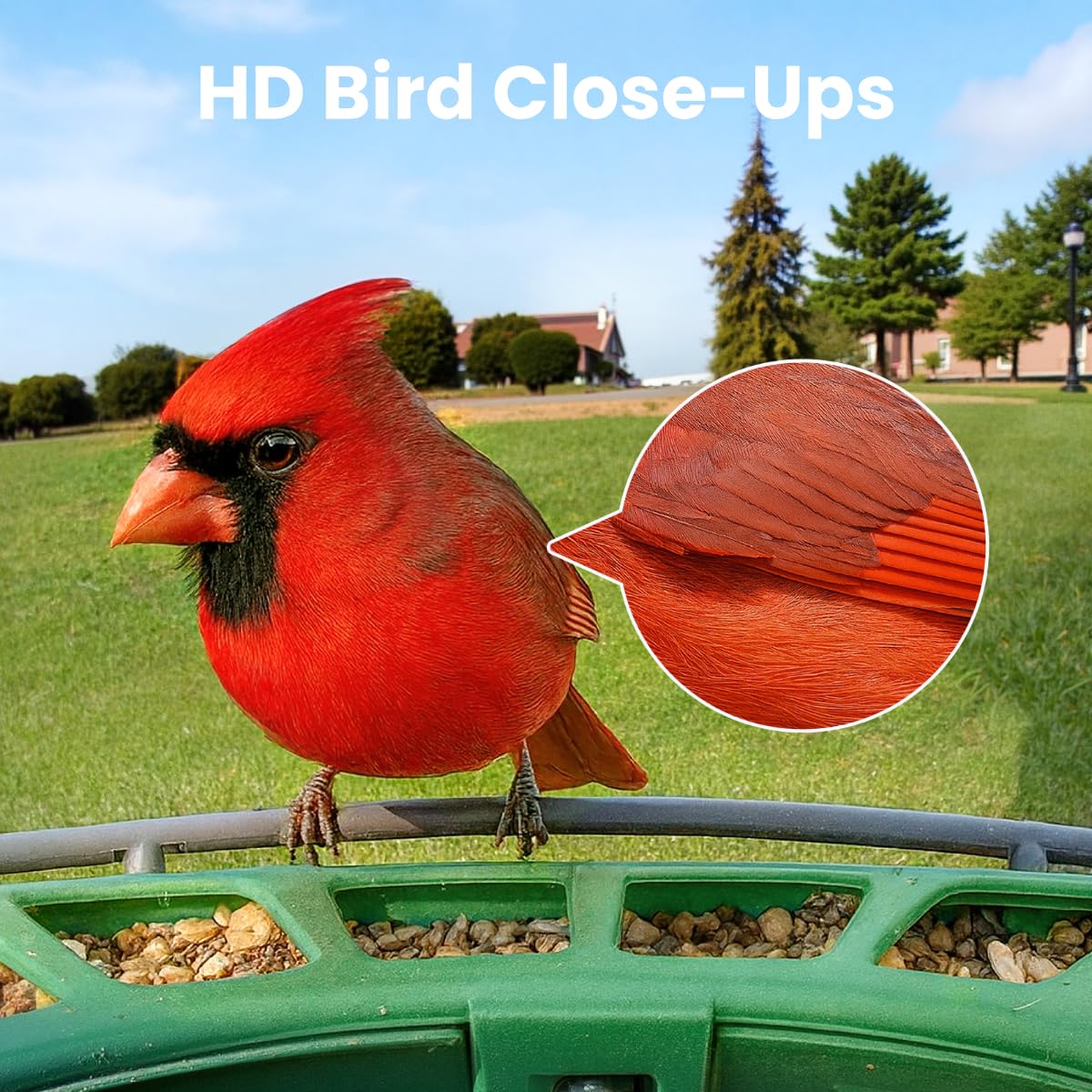 Birdfy 2 Smart Bird Feeder with Camera,Solar-Powered, Wireless Installation, Auto-Capture Bird Videos & Motion Detection, Gift Present