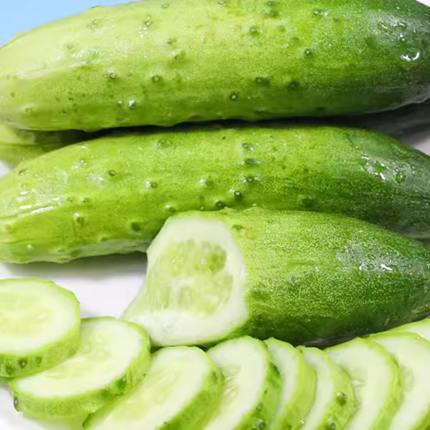 2 Green Cucumber Plants Live, 4 Inches Pot, Live Cucumber Plants from 3 to 5 Inches Long, Cucumber Starter Plants, Cucumber Live Plants for Garden