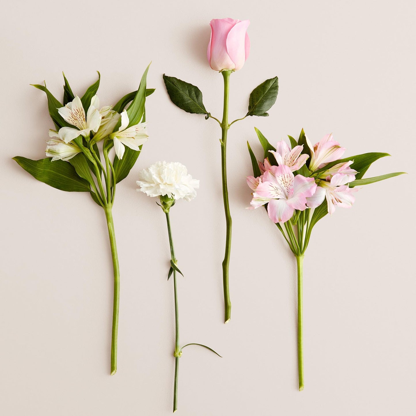 1800 Flowers – Cherished Blooms Double Bouquet (Bouquet Only) | Fresh Cut Spring Flowers for Delivery | Gift for Mother's Day, Anniversary, Sympathy, and Special Occasions