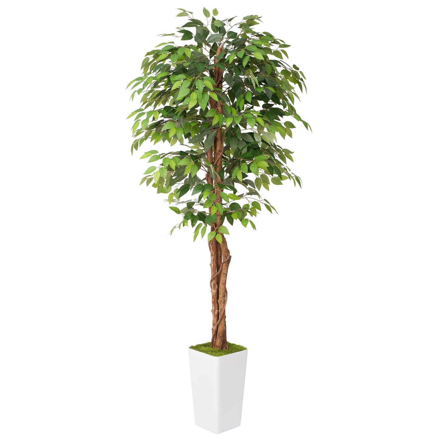 Waoops Artificial 7Ft Ficus Silk Tree with Tall Planter - Faux Plants Indoor with Natural Wood Trunk - Large Tall Fake Plants for Home Office Living Room Patio Decor